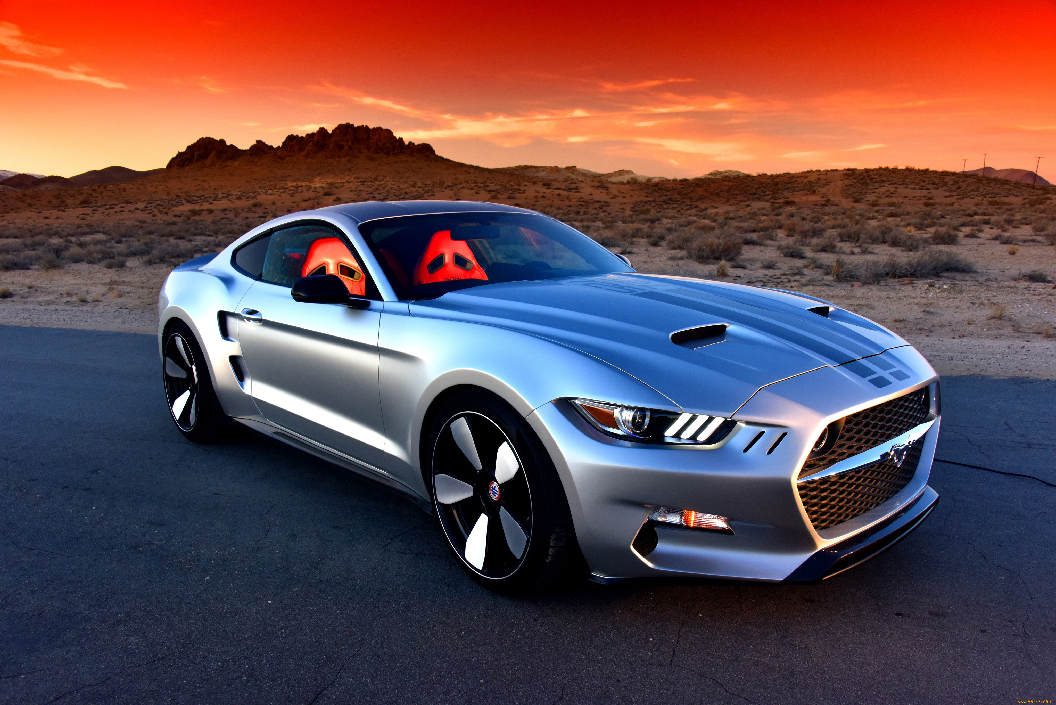 , mustang